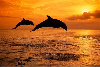 《微软飞行模拟》发布“世界更新6”  改善画质添加新内容