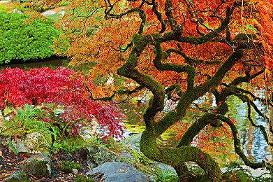 传SE打算以三部曲形式复刻《最终幻想13》游戏